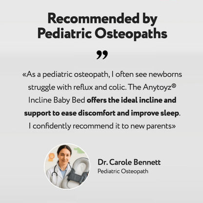 Anytoyz® Incline Baby Bed